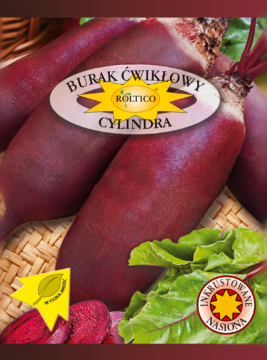 Burak ćwikłowy Cylindra