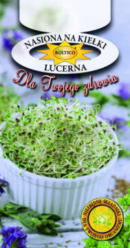 Nasiona na kiełki - Lucerna