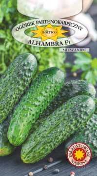 Ogórek partenokarpiczny Alhambra – mieszaniec F1