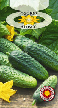 Ogórek Atomic - mieszaniec F1