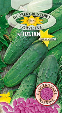 Ogórek gruntowy Corveta - mieszaniec F1 (typ Julian)