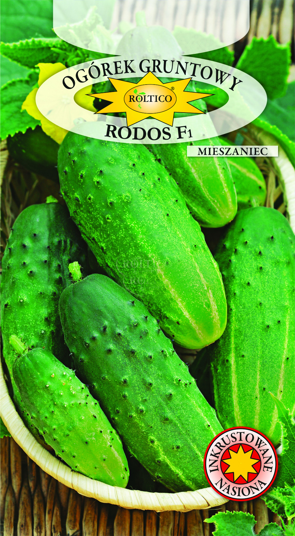 Ogórek gruntowy Rodos - mieszaniec F1 - obrazek 2