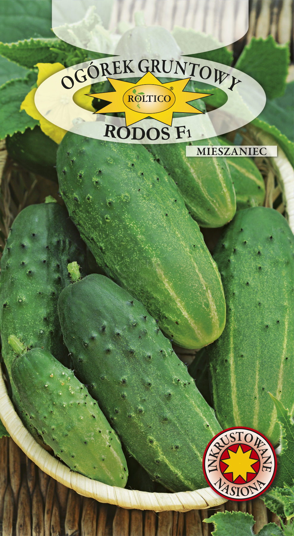 Ogórek gruntowy Rodos - mieszaniec F1