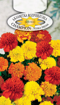 Aksamitka rozpierzchła Champion - Mieszanka