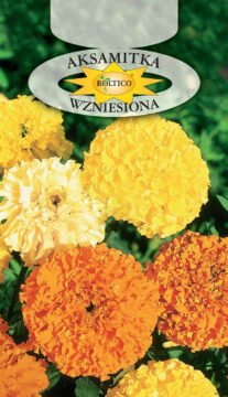 Aksamitka wzniesiona - Mieszanka