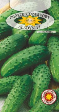 Ogórek konserwowy Aladyn - mieszaniec F1