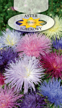 Aster igiełkowy - Mieszanka