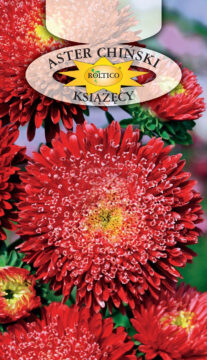Aster książęcy - Czerwony