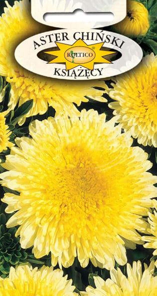 Aster książęcy - Żółty - obrazek 2
