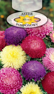 Aster pomponowy - Mieszanka