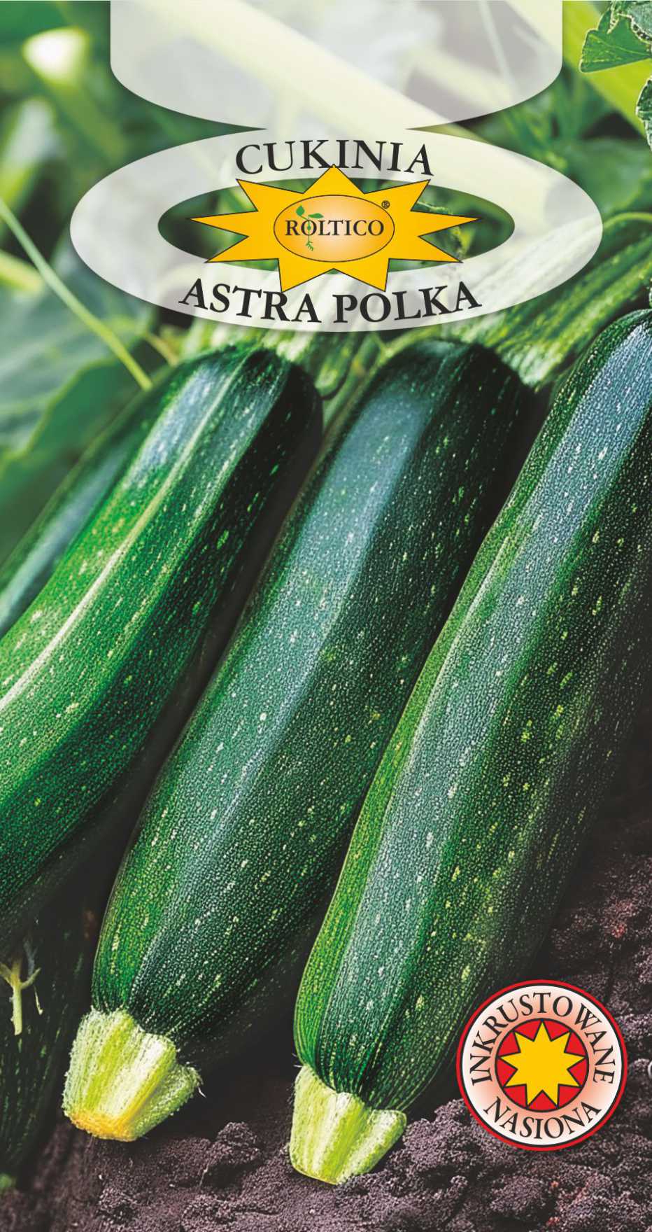 Dynia Zw. Cukinia Astra Polka