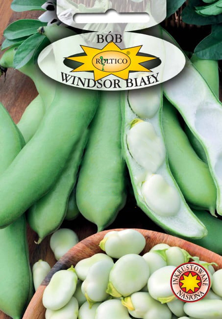 Bób Windsor Biały - obrazek 2