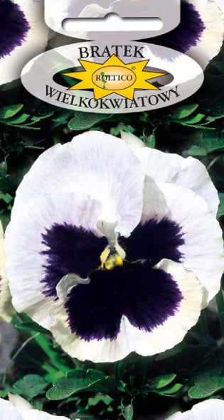 Bratek ogrodowy - Biały z plamą - obrazek 2