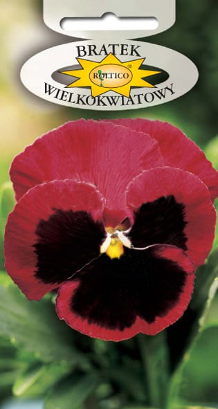 Bratek ogrodowy - Czerwony z plamą /Alpenglow/ - obrazek 2