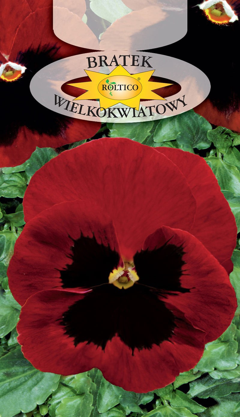 Bratek ogrodowy - Czerwony z plamą /Alpenglow/