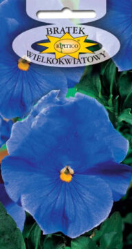 Bratek ogrodowy - Niebieski