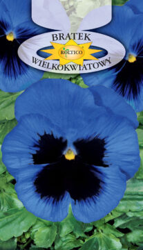 Bratek ogrodowy - Niebieski z plamą
