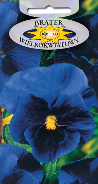 Bratek ogrodowy - Niebieski z plamą - obrazek 2