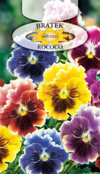 Bratek ogrodowy - Rococo - mieszanka