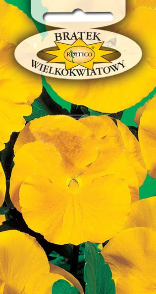 Bratek ogrodowy - Żółty - obrazek 2