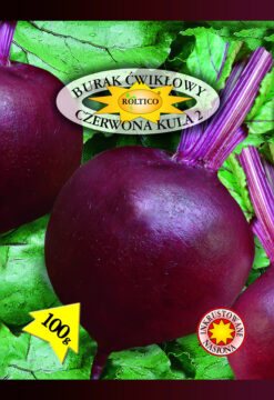 Burak ćwikłowy Czerwona Kula 2