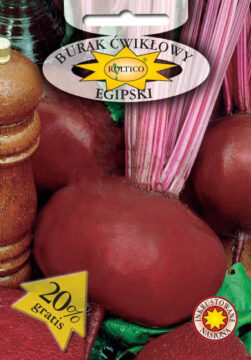 Burak ćwikłowy Egipski