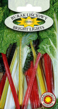 Burak liściowy Bright Lights