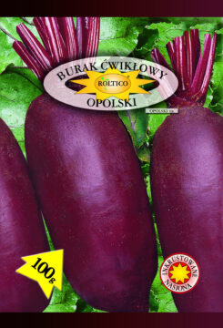 Burak ćwikłowy Opolski