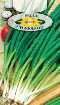 Cebula jadalna Siedmiolatka