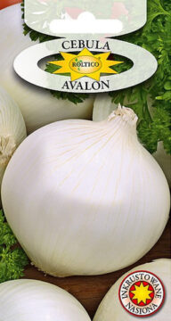 Cebula Avalon (biała)