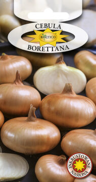 Cebula Borettana