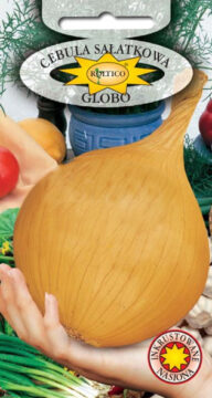 Cebula jadalna Globo