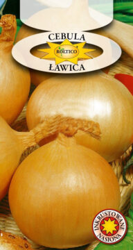 Cebula Ławica