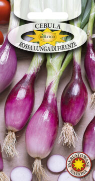 Cebula Rossa Lunga Di Firenze