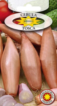 Cebula Tosca