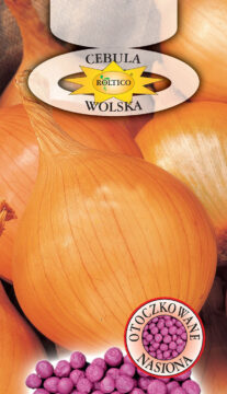 Cebula jadalna Wolska