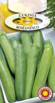 Dynia Zw. Cukinia Romanesco