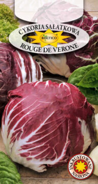 Cykoria sałatowa Rouge de Verone