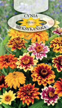 Cynia meksykańska - Mieszanka