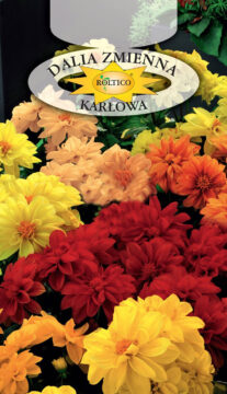 Dalia zmienna karłowa - Opera - mieszanka
