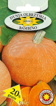 Dynia olbrzymia Bambino