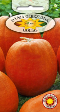 Dynia olbrzymia Golias