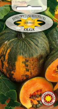 Dynia zwyczajna bezłupinowa Olga