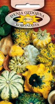 Dynia ozdobna - Koroniasta