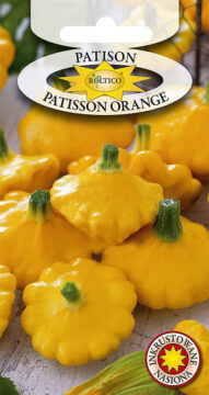 Dynia Zw. Patisson Orange