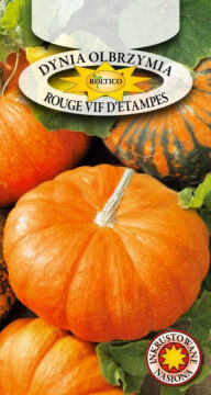 Dynia olbrzymia Rouge vif d'Etampes