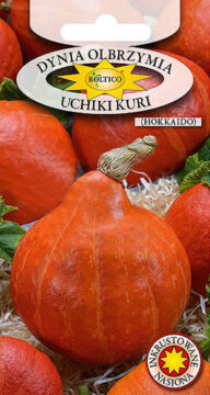 Dynia olbrzymia Uchiki Kuri (Hokkaido)