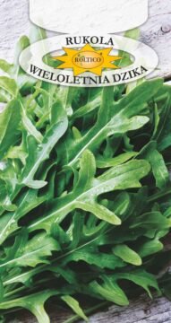 Rukola wieloletnia dzika