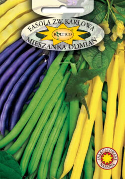 Fasola karłowa Mieszanka Odmian