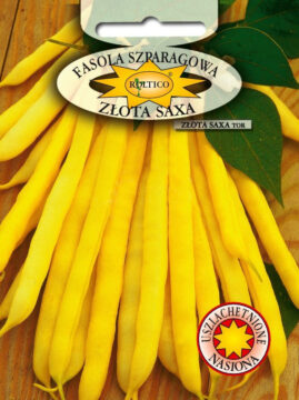 Fasola karłowa Złota Saxa